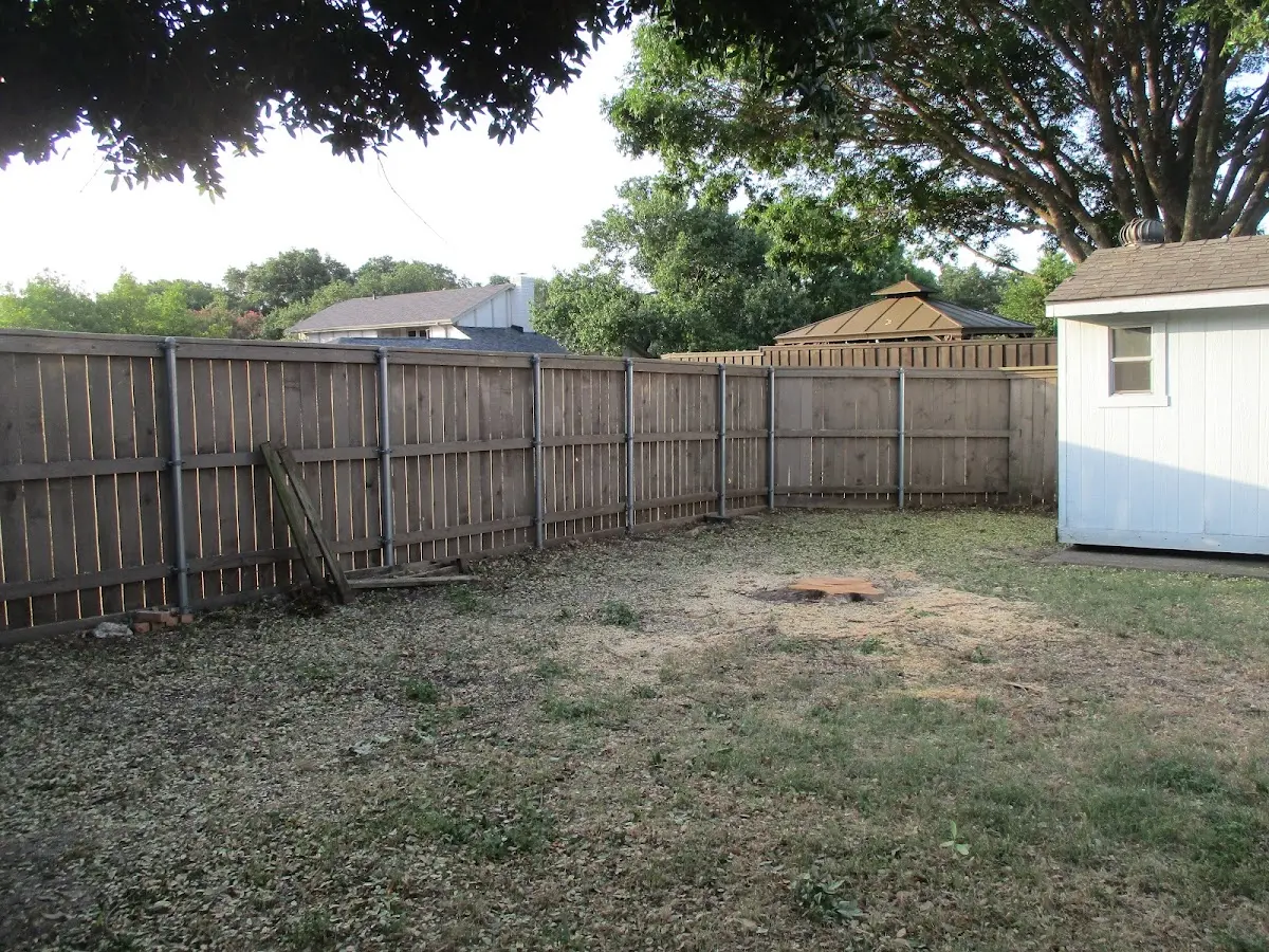 Cleared yard after professional tree removal in Mount Airy